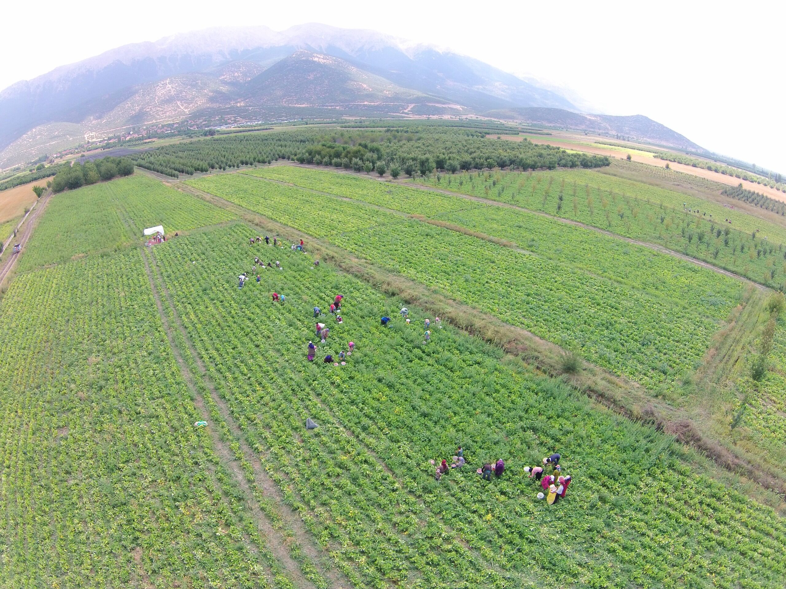 2F2E0Db3 87D1 4261 A81C B60Af5A2955C