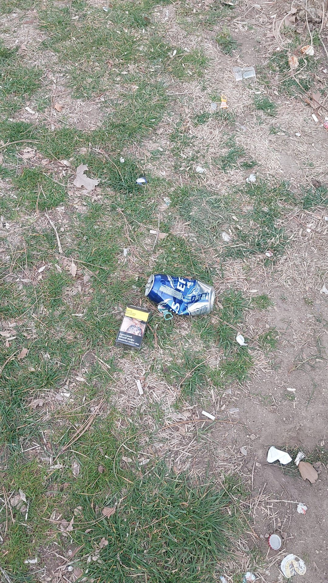 57055Dad D5E2 4C67 9Ff8 4B0B327B534A