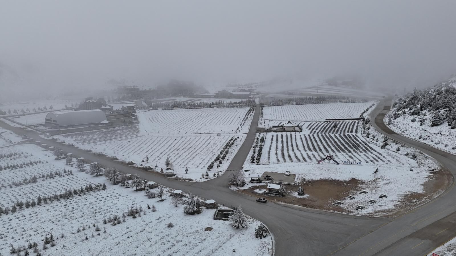 9012E0Dc Fd40 4E7B Af66 E99B900323Bb