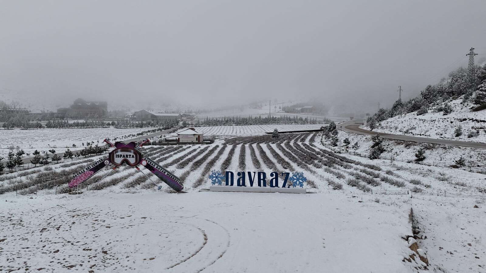 A9B73B57 77Ef 4Afe 9A0F Ded9Be03D3F3