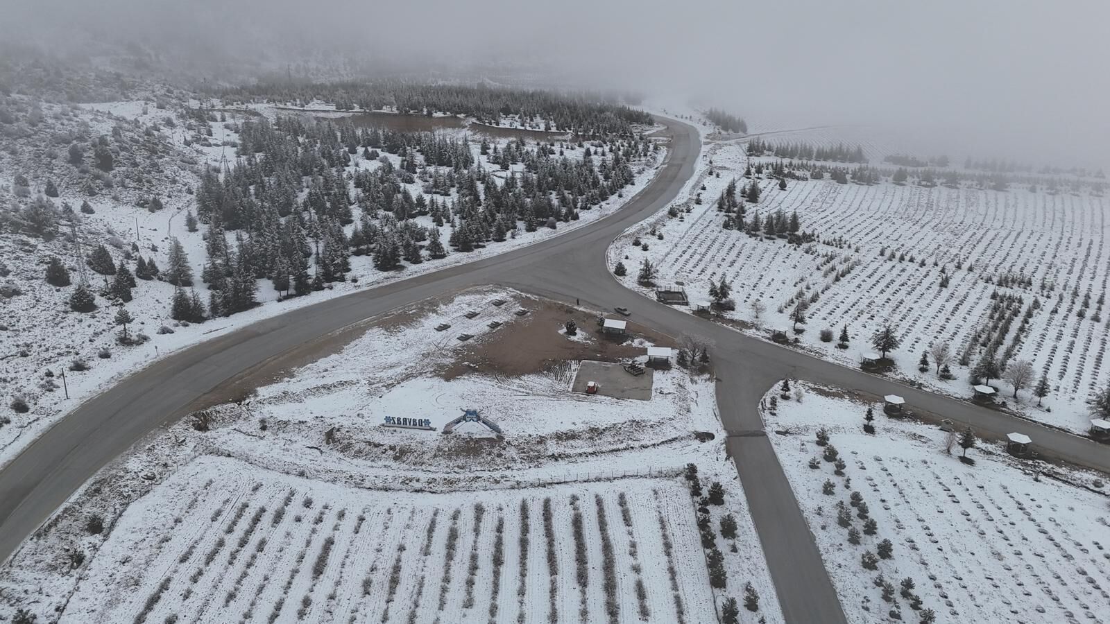 B4433C05 2711 4B92 B7E6 078F46F6Bd2C