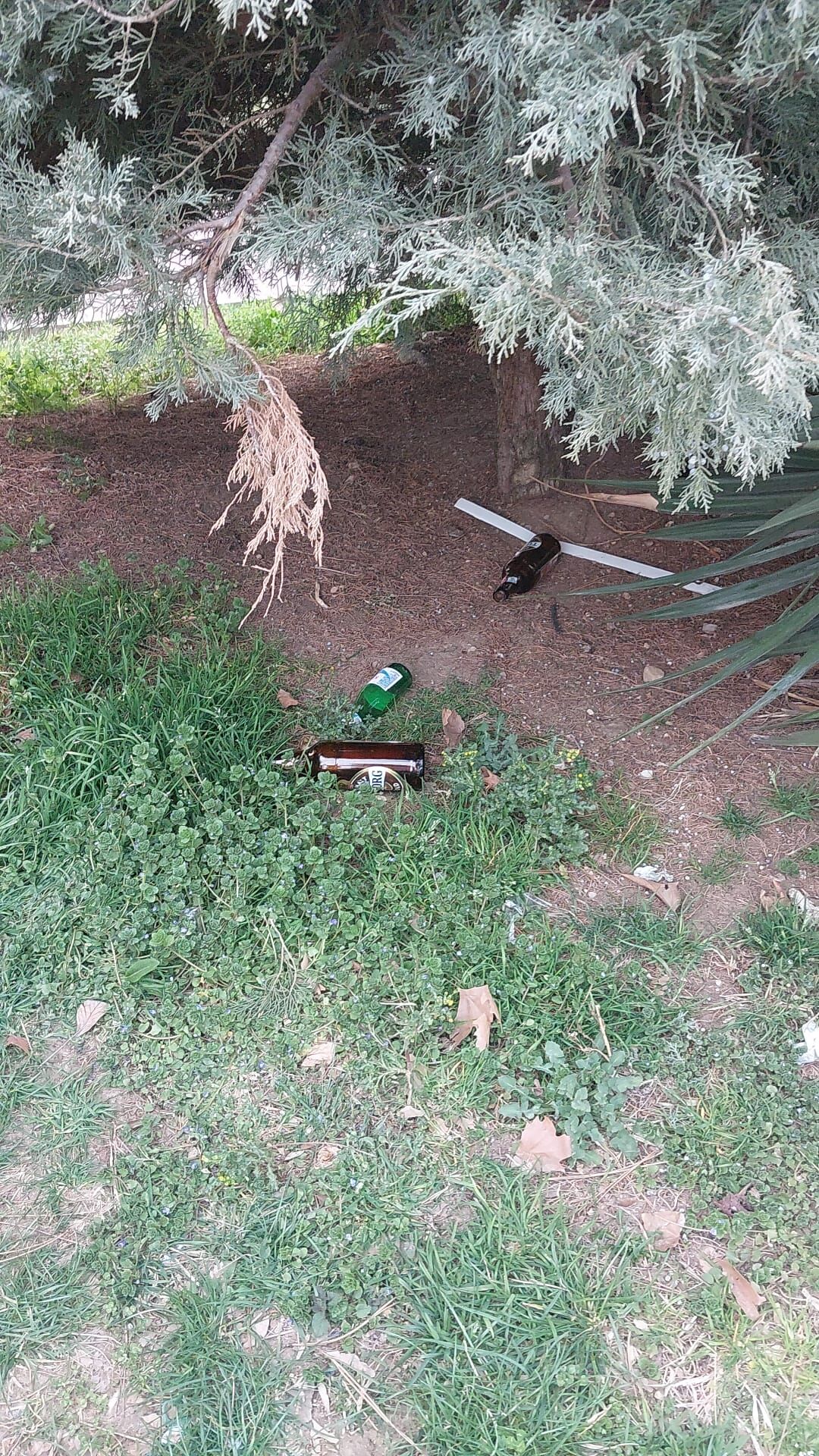 B48E00Af 9990 4F30 9237 6Fc6E2Ad9Ec3