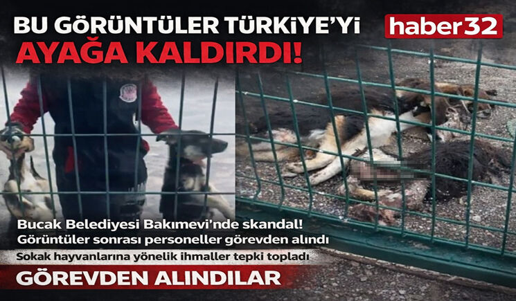 Bucak Belediyesi Sokak Hayvanları Bakımevi'ndeki feci görüntülerin ardından ilgili personeller görevden alındı