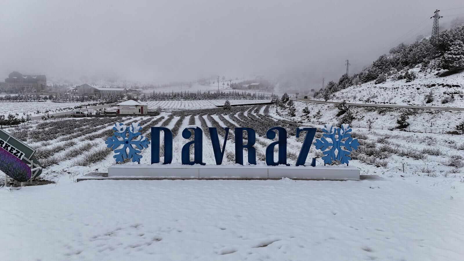 F7476A77 Aa3D 4792 Bdfe 62Fb56602Da9