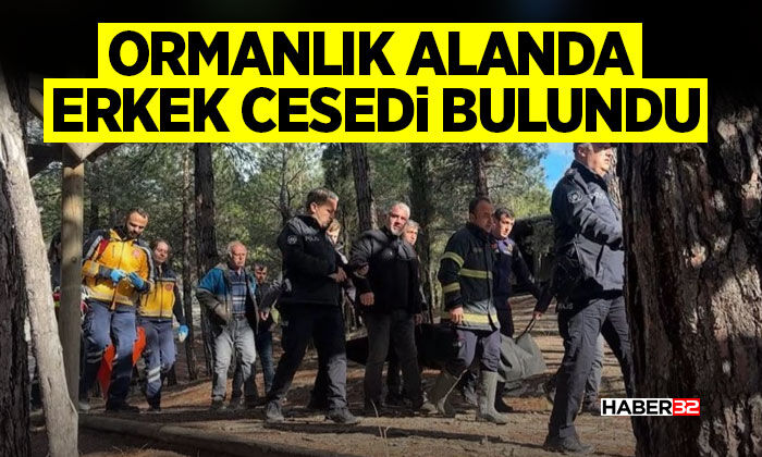 Ormanlık alanda erkek c*s*di bulundu