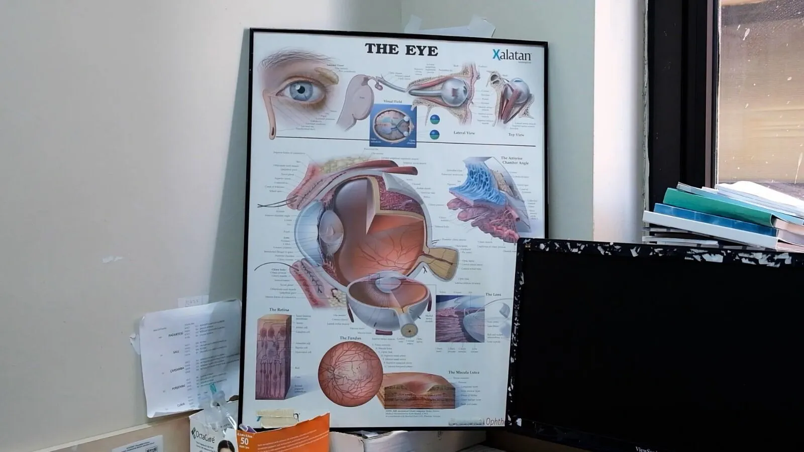 Uzmanlardan Uyari Glokom Korluge Neden Olabilir 4