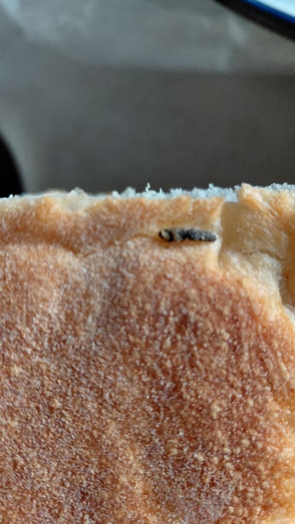 435A0Bc5 B036 4C91 97Fb Bcfbc2Fa0026