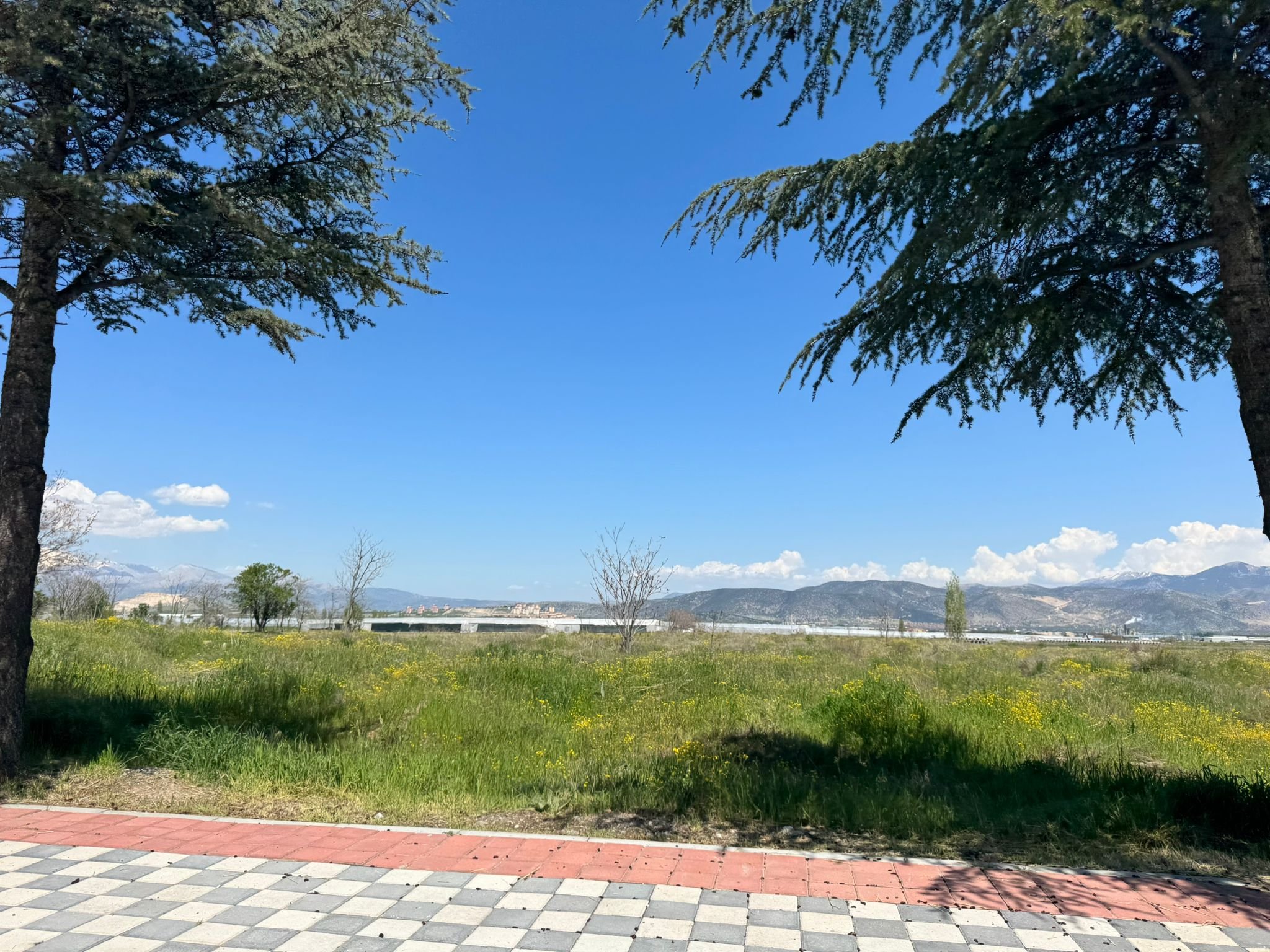 D083F88E 3F11 42Ce 88C5 4365393B9288