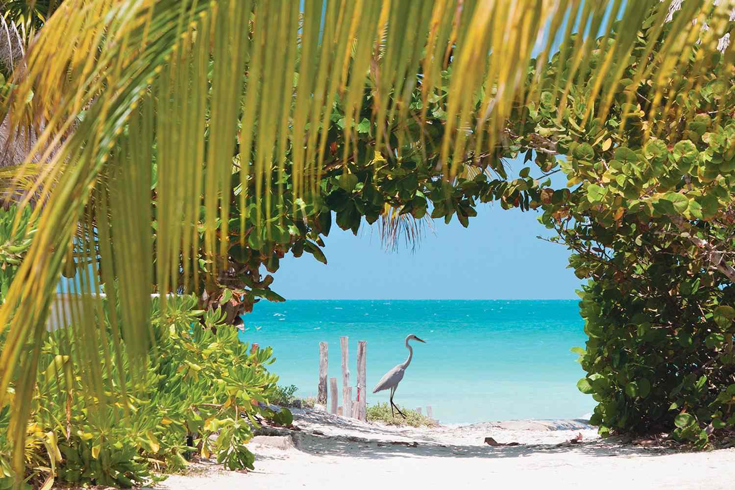 Holbox Adası Hangi Ülkede, Nerede?