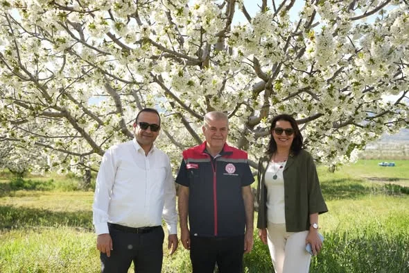 Ispartada Kiraz Bahcelerinde Zirai Don Incelemesi 2