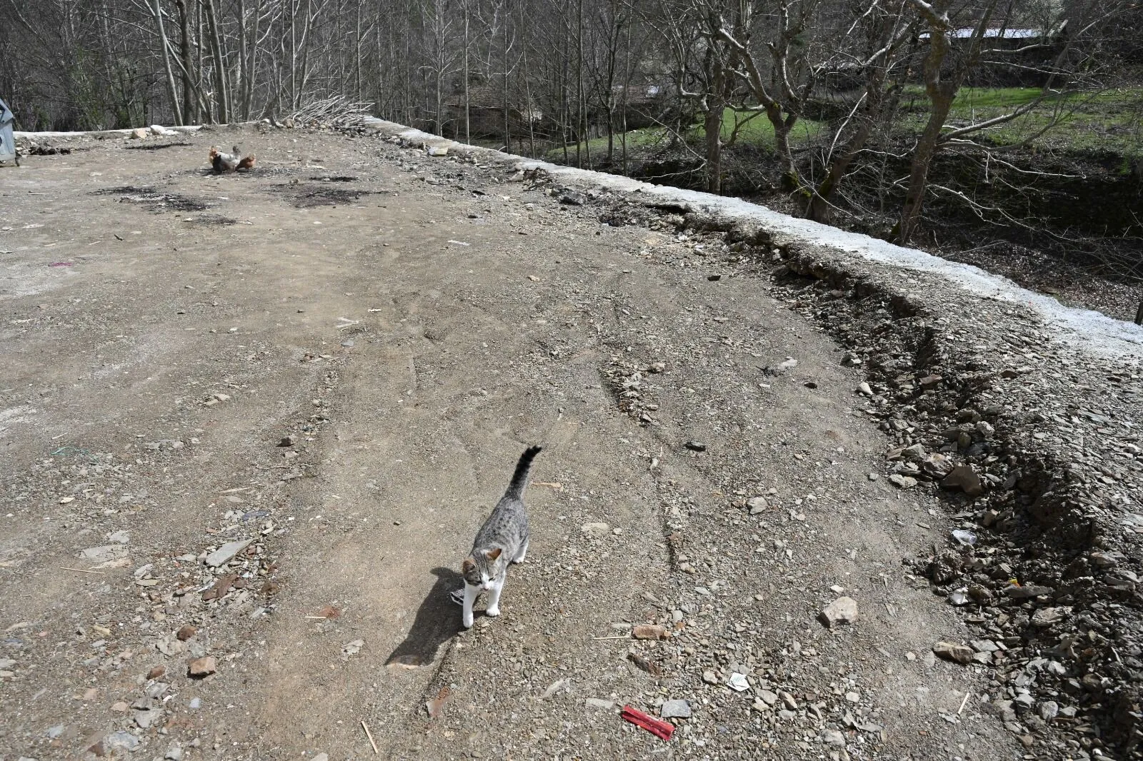 Whatsapp Image 2026 04 06 At 085008