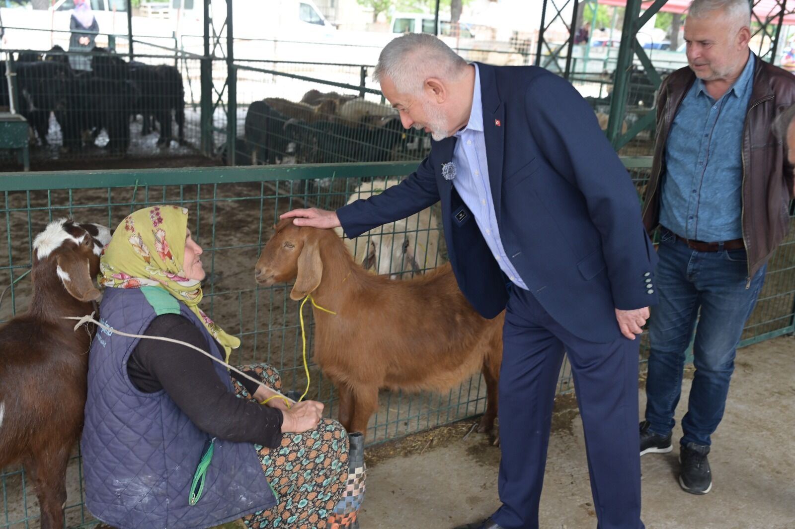 Başdeğirmen Kurban (2)