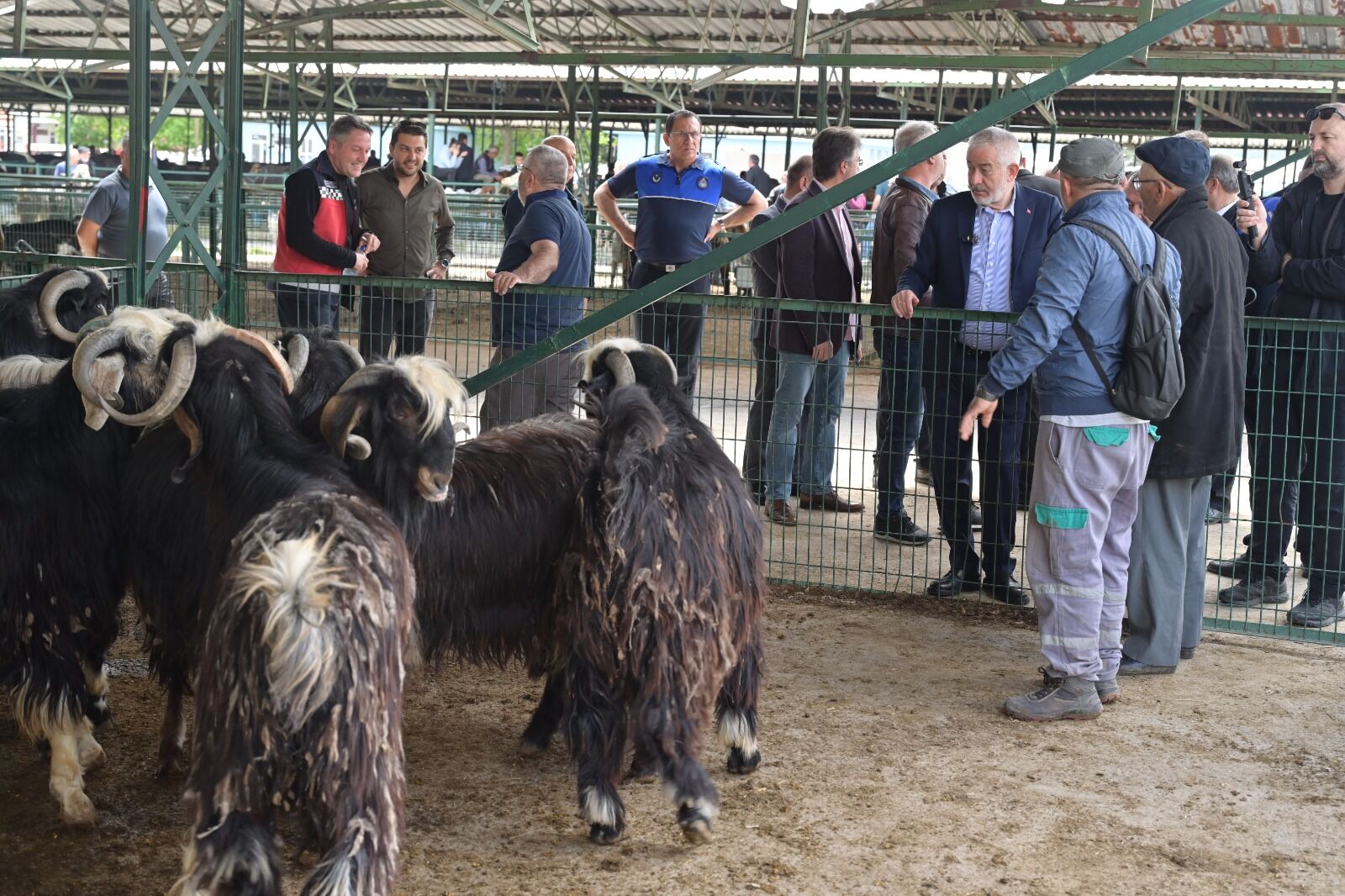 Başdeğirmen Kurban (3)