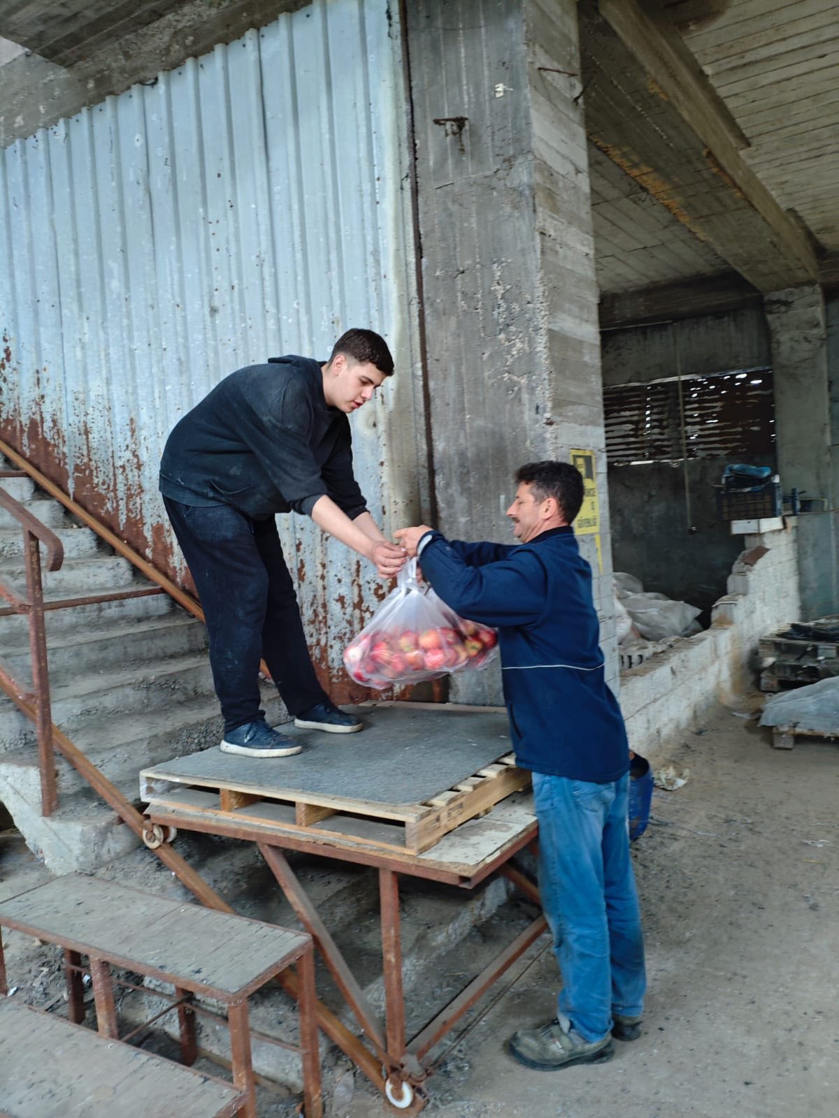 Deri (1)