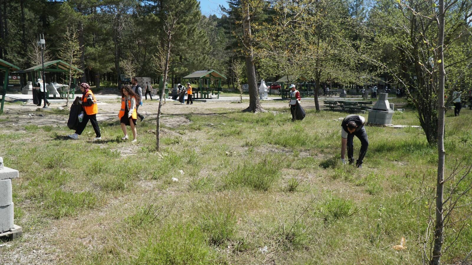 Orman Temizlik (4)