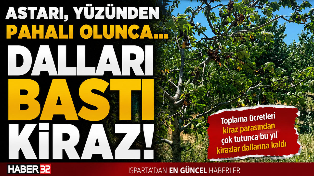 Astarı, Yüzünden Pahalı Olunca… Dalları Bastı Kiraz!