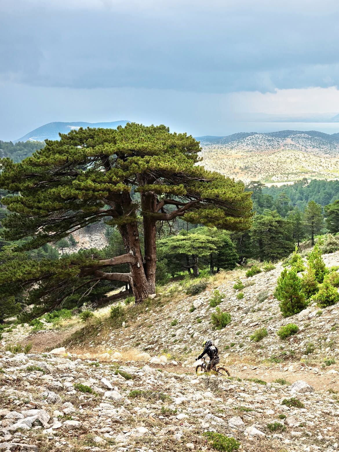 Zirvede Toz Duman, Sınırsız Adrenalin Davraz’da Enduro Heyecanı!Davraz Dağı’nın Zorlu Patikalar (4)