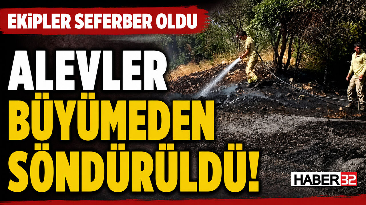 Sütçüler'de Korkutan Yangın!