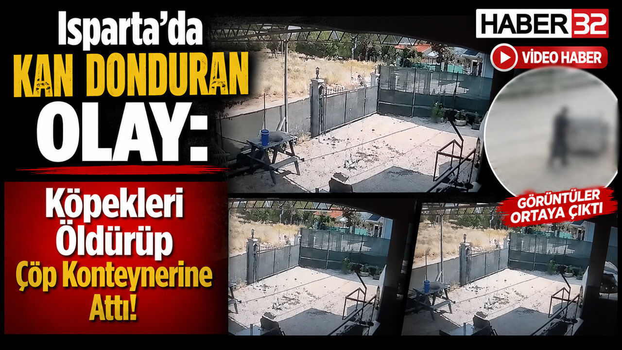 'Köpekleri Öldürüp Çöp Konteynerine Attı' İddiası!