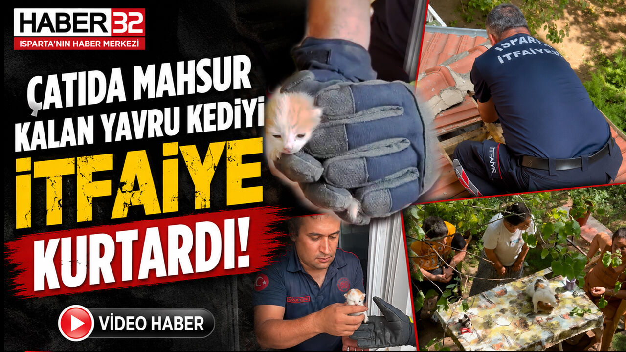 Çatıda Mahsur Kalan Yavru Kediyi İtfaiye Kurtardı!