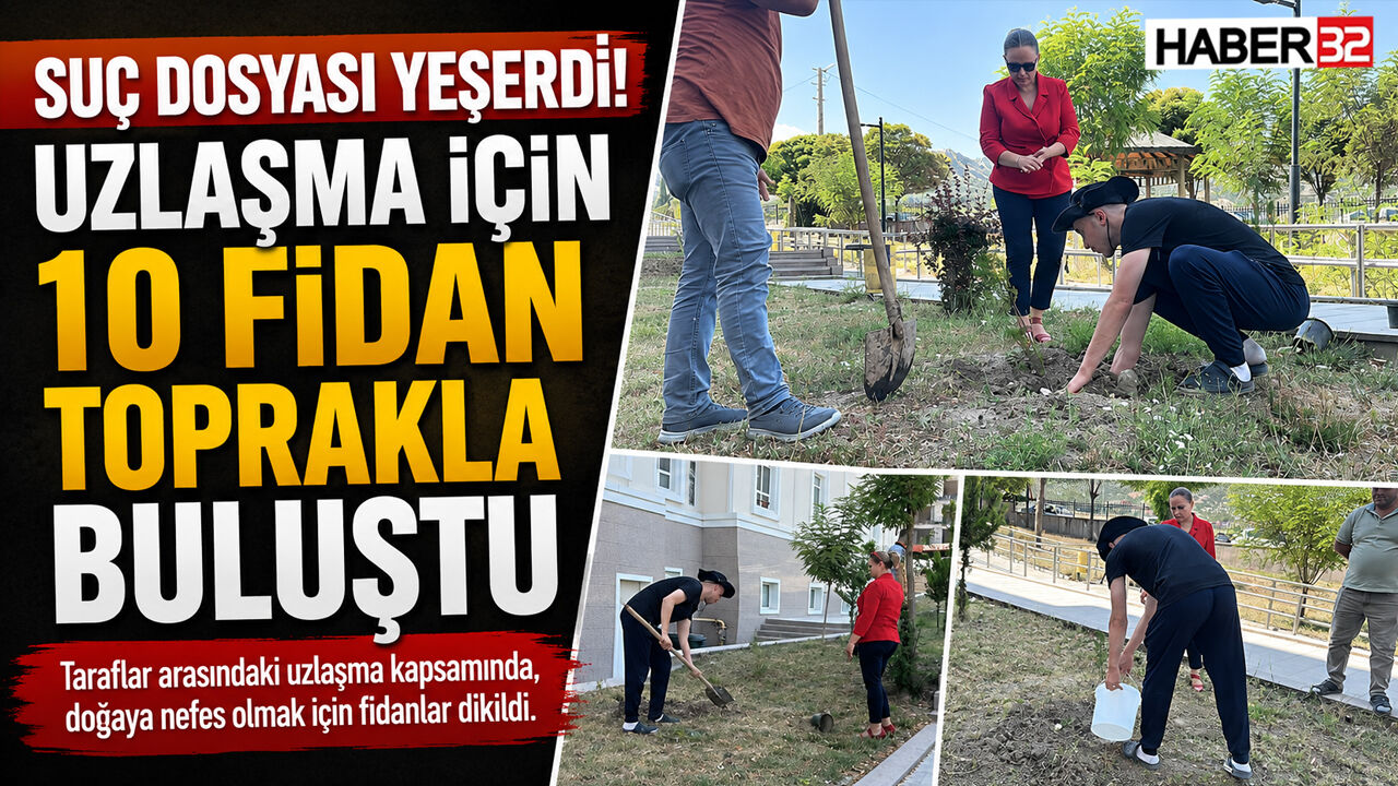 Suç Dosyası Yeşerdi! Uzlaşma İçin 10 Fidan Toprakla Buluştu