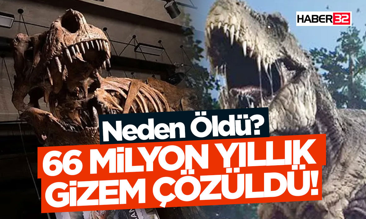 Dünyanın En Büyük T-Rex'i Nasıl Neden Öldü?