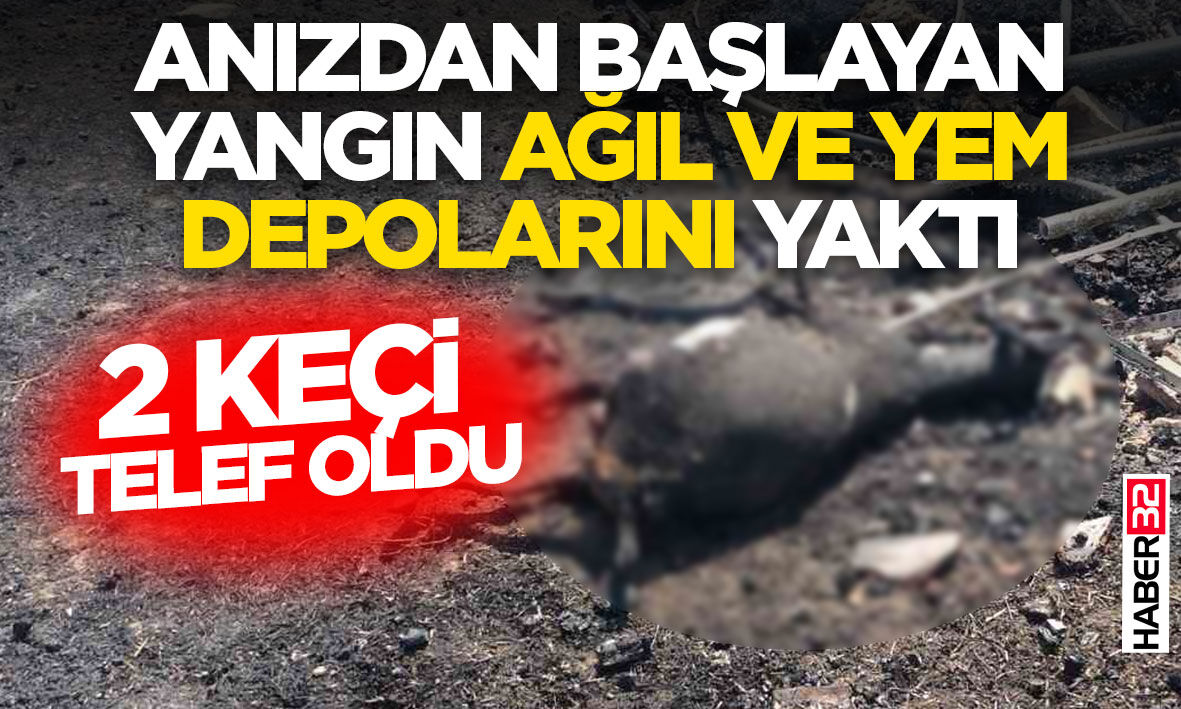 Anızdan başlayan yangın ağıl ve yem depolarını yaktı