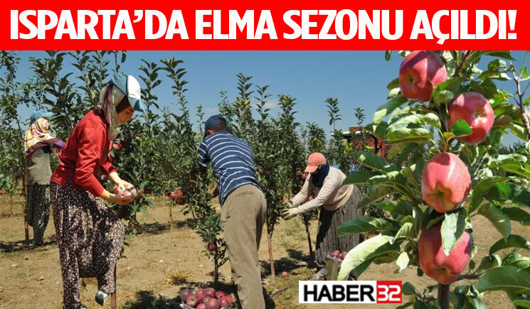 Isparta’da Elma Sezonu Açıldı! Hasat Başladı