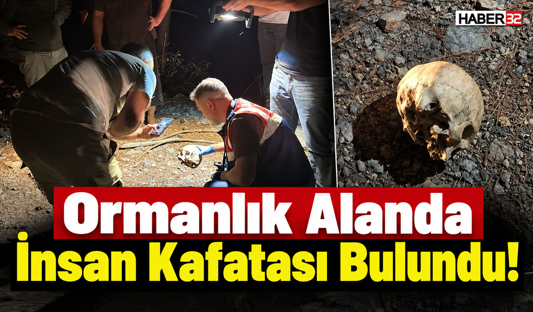 Ormanlık Alanda İnsan Kafatası Bulundu!