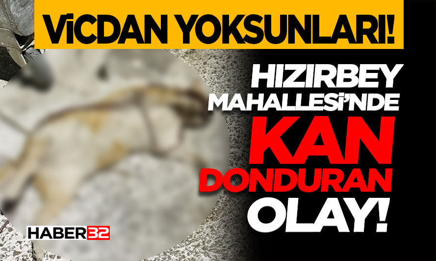 Hızırbey Mahallesi’nde Kan Donduran Olay!