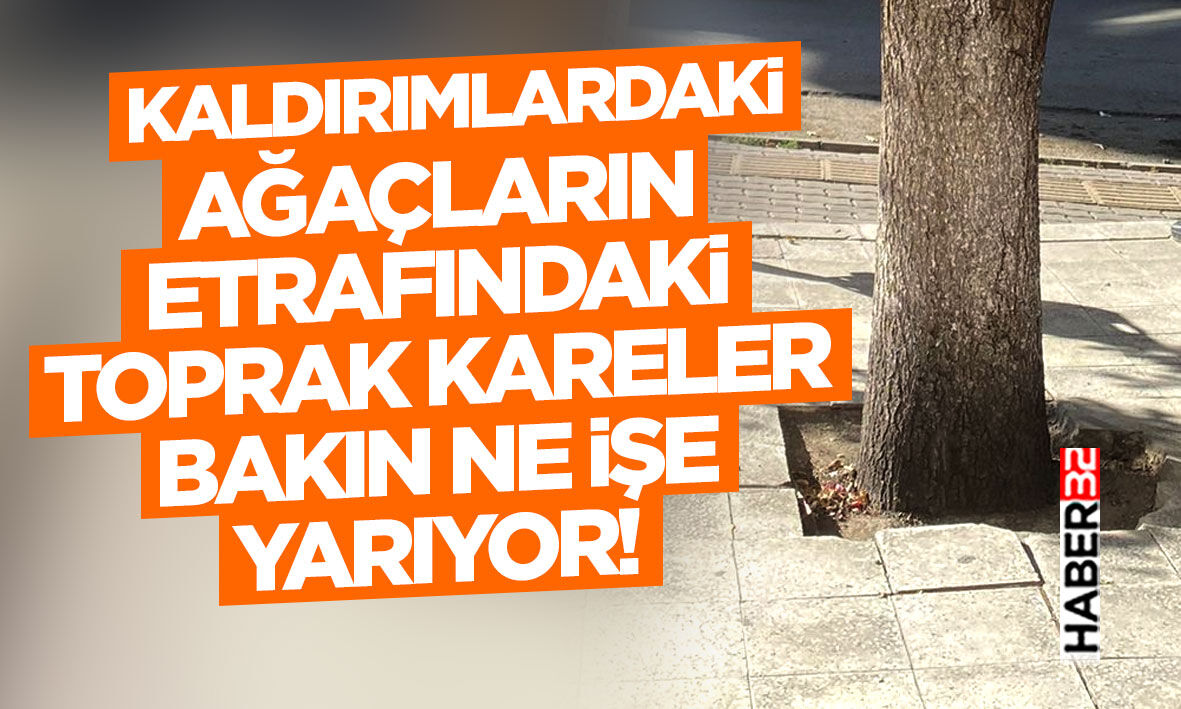 Kaldırımlardaki Ağaçların Etrafındaki Toprak Kareler Bakın Ne İşe Yarıyor