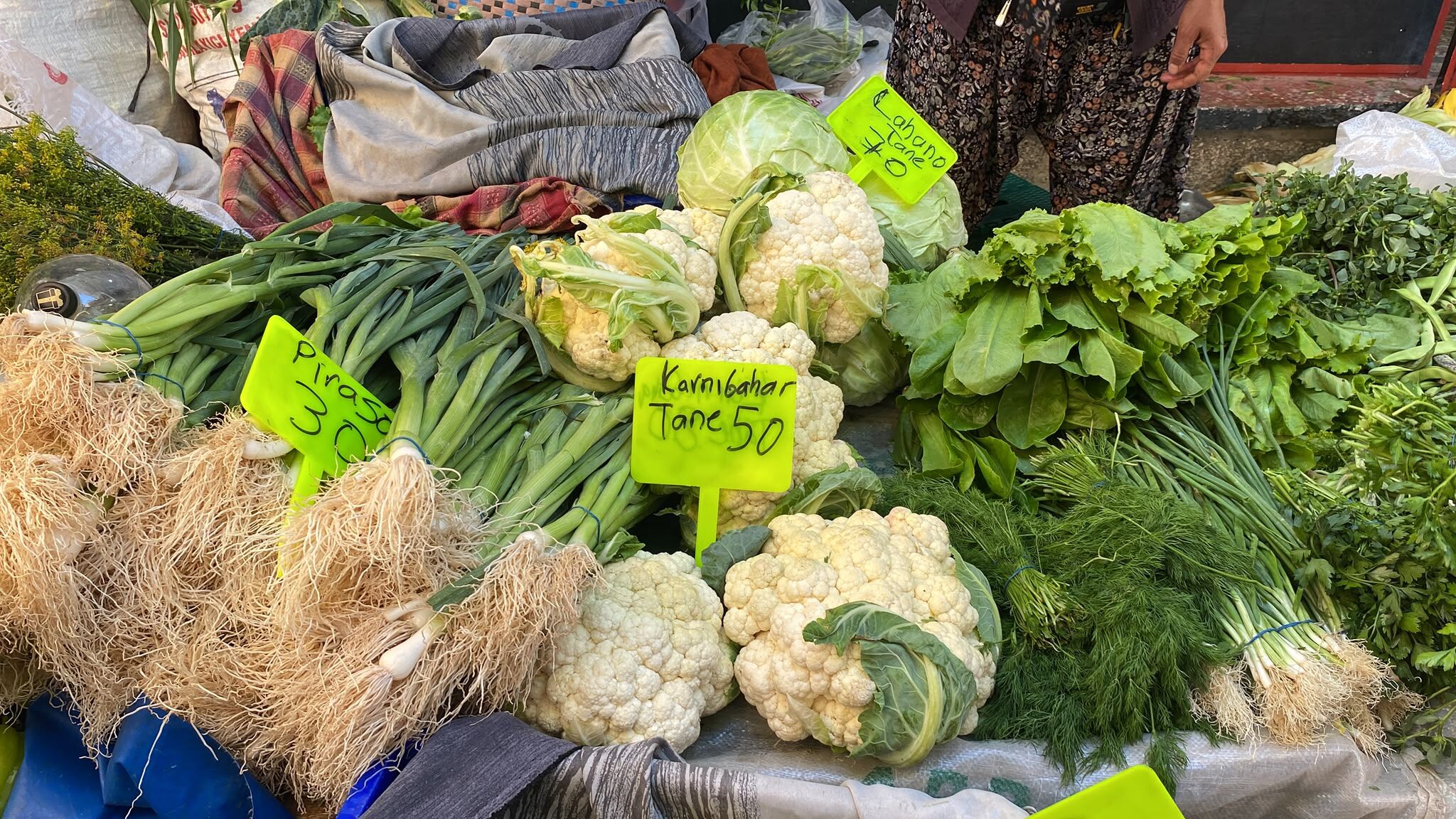 Karnıbahar