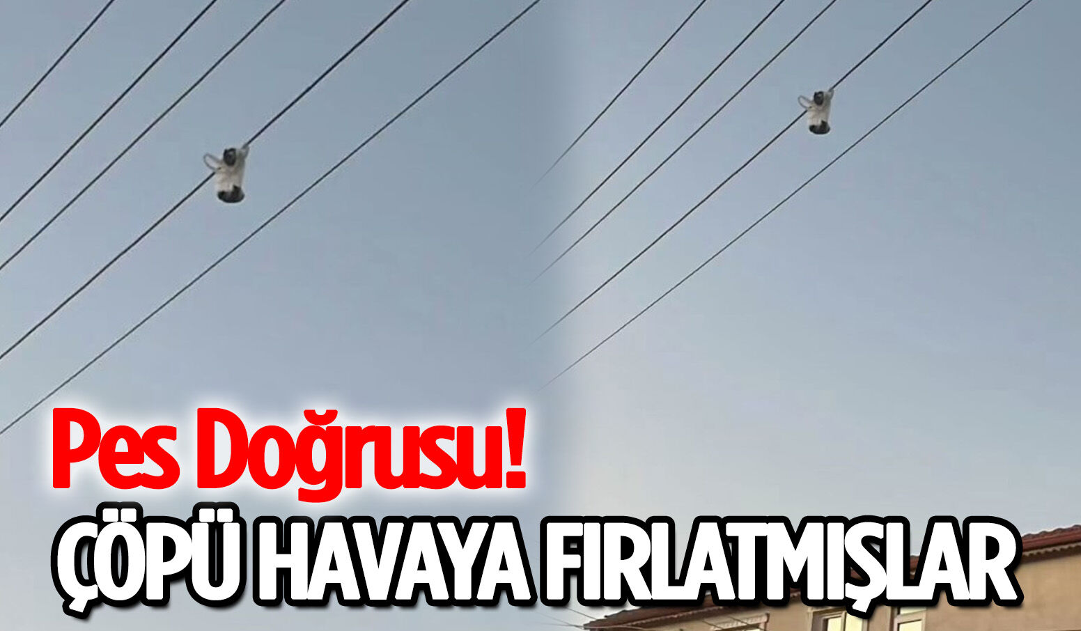 Pes Doğrusu! Çöpü Havaya Fırlatmışlar