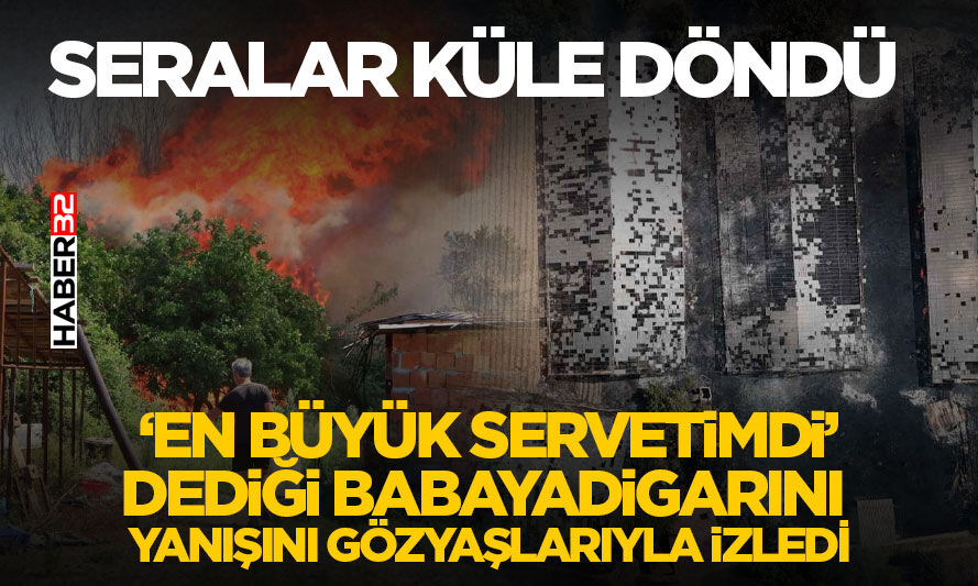 Yangında seralar küle döndü