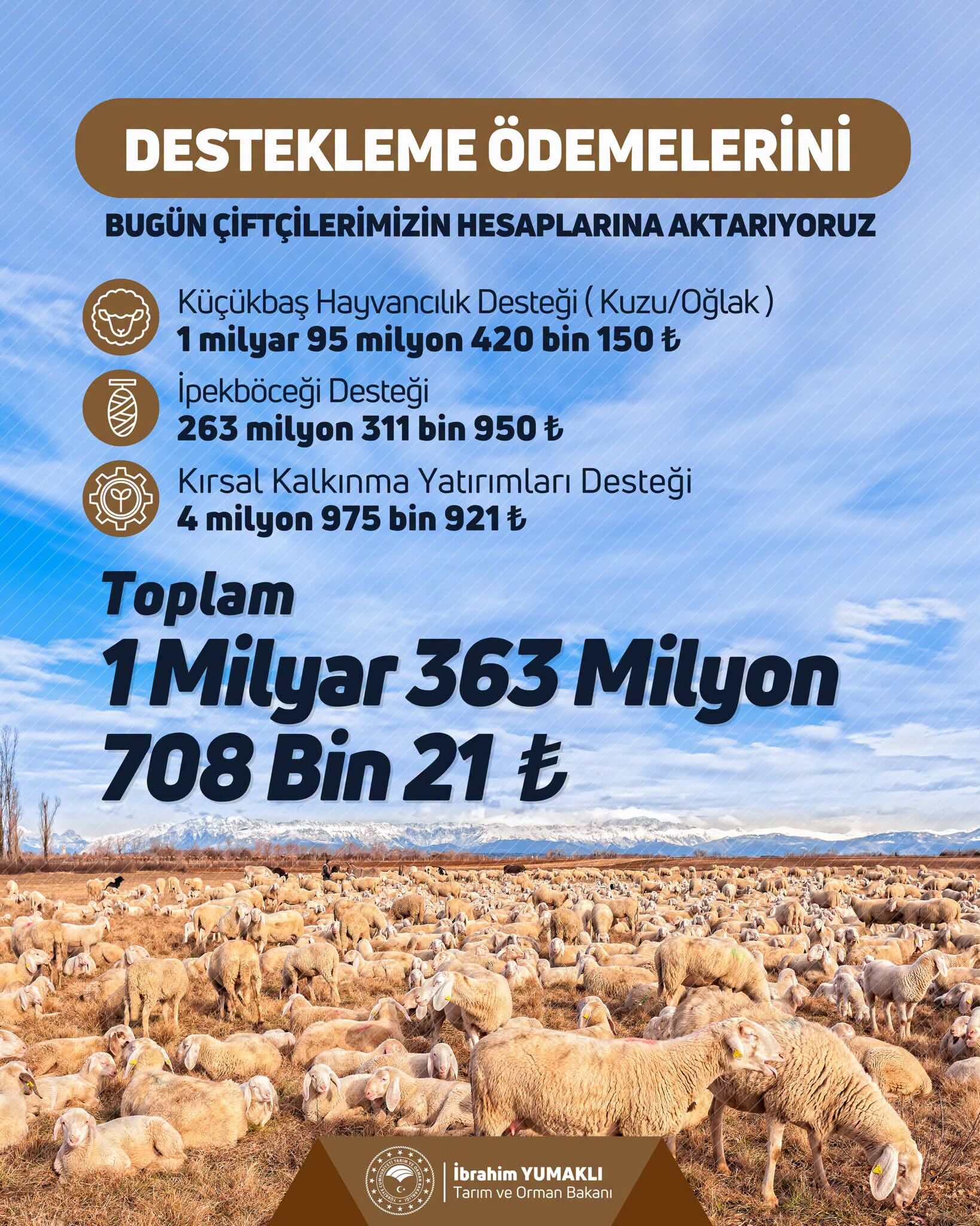 Tarım Orman
