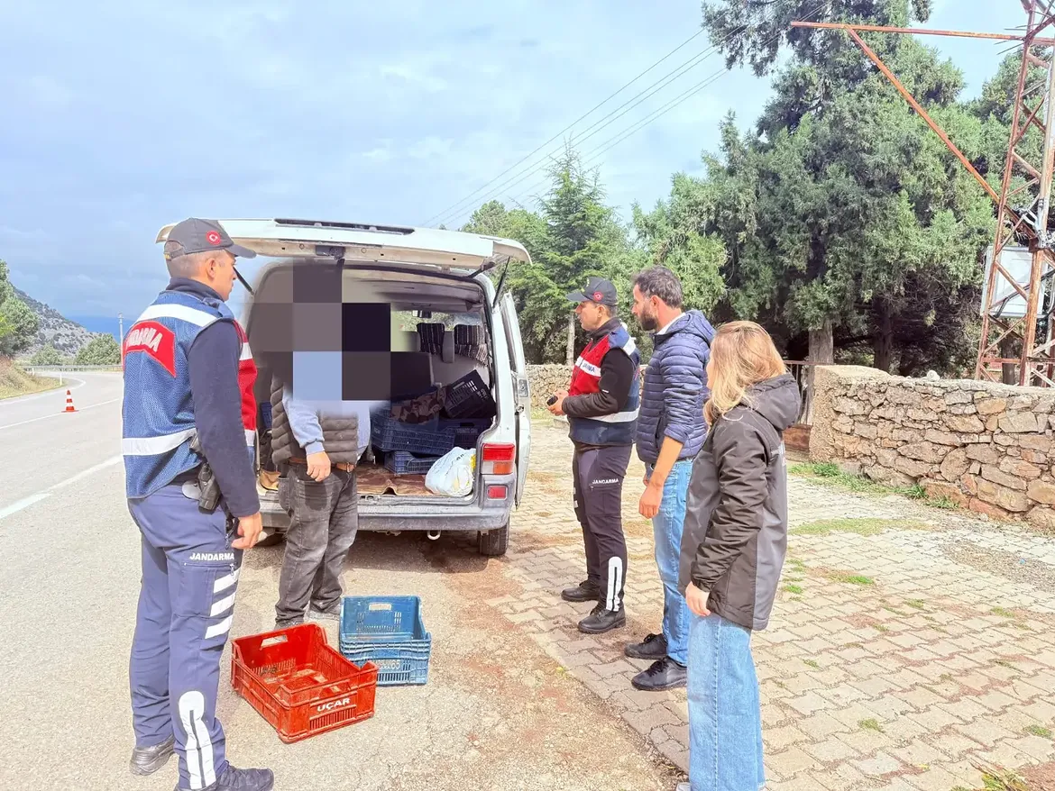 Eğirdir İlçe Tarım Ve Orman Müdürlüğü Ile Eğirdir Jandarma Asayiş Bot Komutanlığı Ekipleri Tara