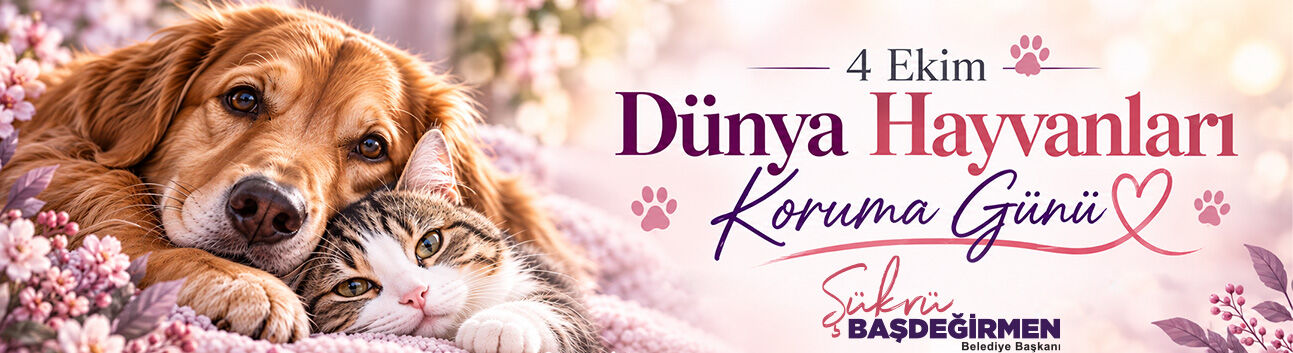 HAYVANLARIMIZI KORUYALIM ÇALIŞMASI 1